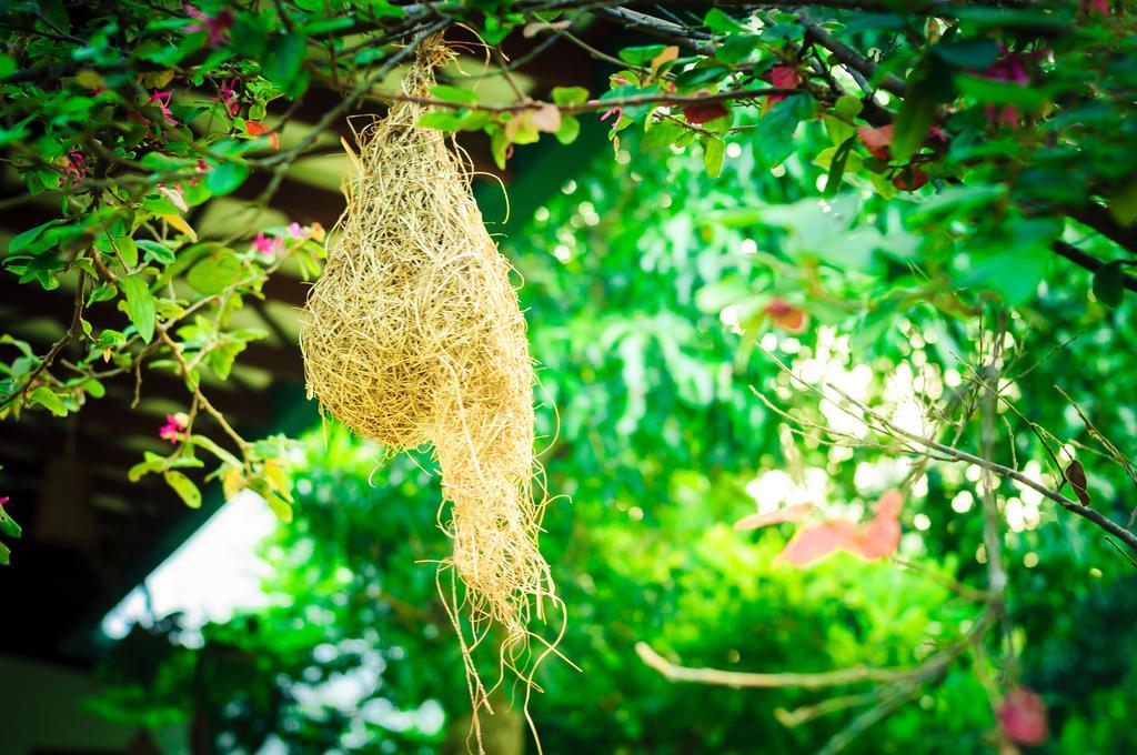 Garcinia Leaf Hotel Hikkaduwa Ngoại thất bức ảnh